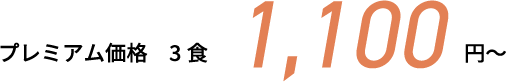 プレミアム価格　3食1100円～